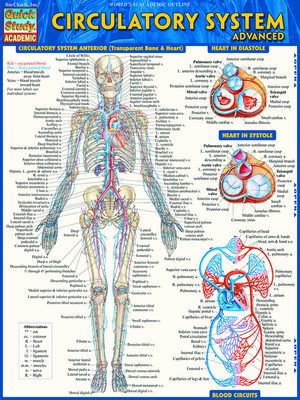 cover image of Circulatory System Advanced